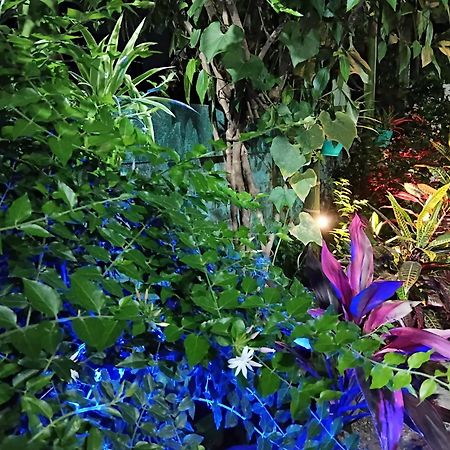 Green View Homestay Siliguri Luaran gambar